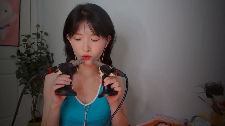 [芝麻对辣]助眠哄睡减压ASMR 16