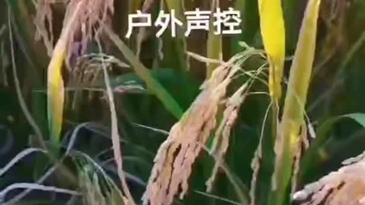 [抖音六六]助眠哄睡ASMR视频集 77