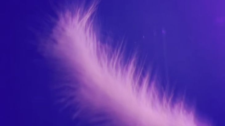 [娜娜SweetASMR]高质量助眠主播2023哄睡合集视频合集 54